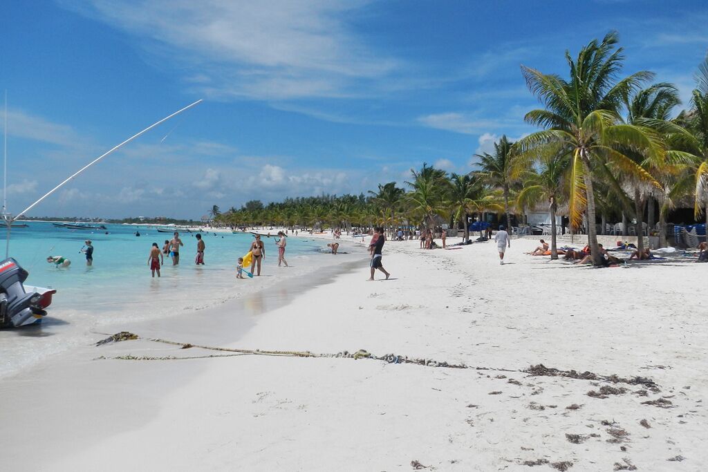 A beach with white sand, palm trees, and clear blue water.