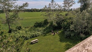 Un foyer extérieur avec des sièges, aménagé dans un espace extérieur verdoyant et entouré d’arbres.