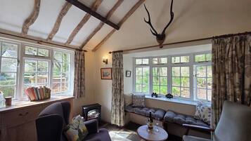 Télévision, cheminée, jeux vidéo, lecteur de DVD