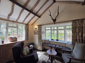 Tv, pejs, videospil, dvd-afspiller