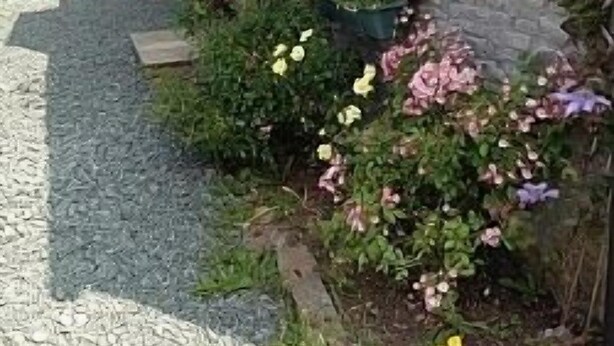A stone building with a window and a hanging flower basket. - Llwyn Llwyd Cottage Brecon  Group and contractor friendly. Garden. Dog friendly  (Aberyscir)