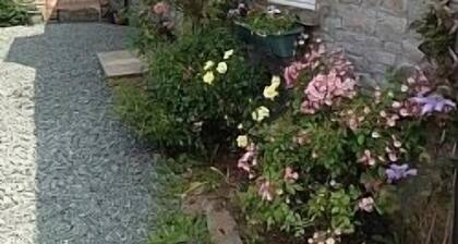 Llwyn Llwyd Cottage Aberyscir Brecon Fantastic Rural Views Large Garden. Wifi.