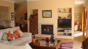 Smart TV, fireplace, DVD player, books