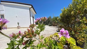 A garden with potted plants and flowers in front of a white building. - "VILLA ARGENTI" - VILLA WITH POOL BETWEEN SEA AND COUNTRYSIDE IN SALENTO (Melendugno (LECCE))