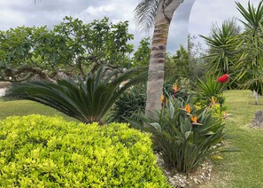 Terrein van de accommodatie