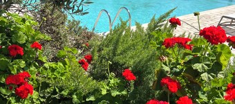 "VILLA ARGENTI" - VILLA WITH POOL BETWEEN SEA AND COUNTRYSIDE IN SALENTO