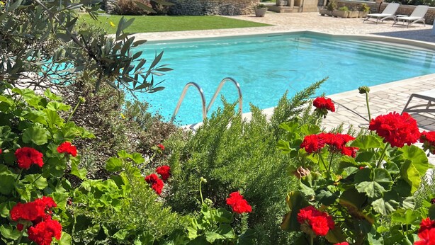 A swimming pool surrounded by lush greenery and red flowers. - "VILLA ARGENTI" - VILLA WITH POOL BETWEEN SEA AND COUNTRYSIDE IN SALENTO (Melendugno (LECCE))