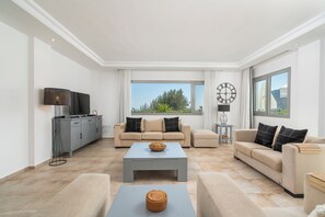 TV connectée, lecteur de DVD, livres, vidéothèque