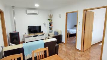 Una televisión, una chimenea, un reproductor de DVD, libros