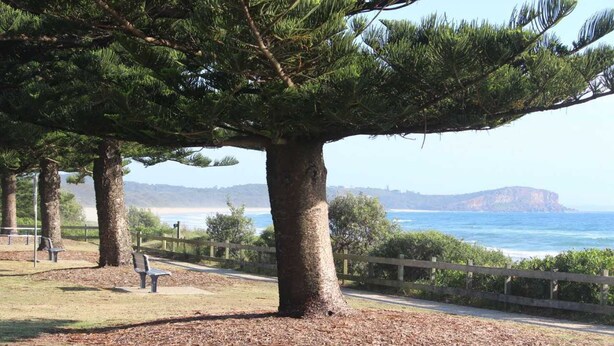 A park with a large tree, a bench, and a view of the ocean. - Beach Haven Villa - close to beach and breakwall (NORTH HAVEN)