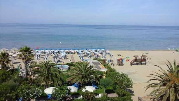 A beach with numerous umbrellas and lounge chairs, palm trees, and a clear view of the sea.