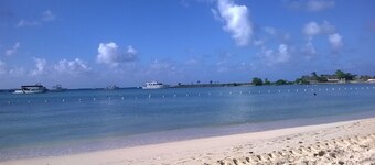A View From Paradise