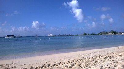 A View From Paradise