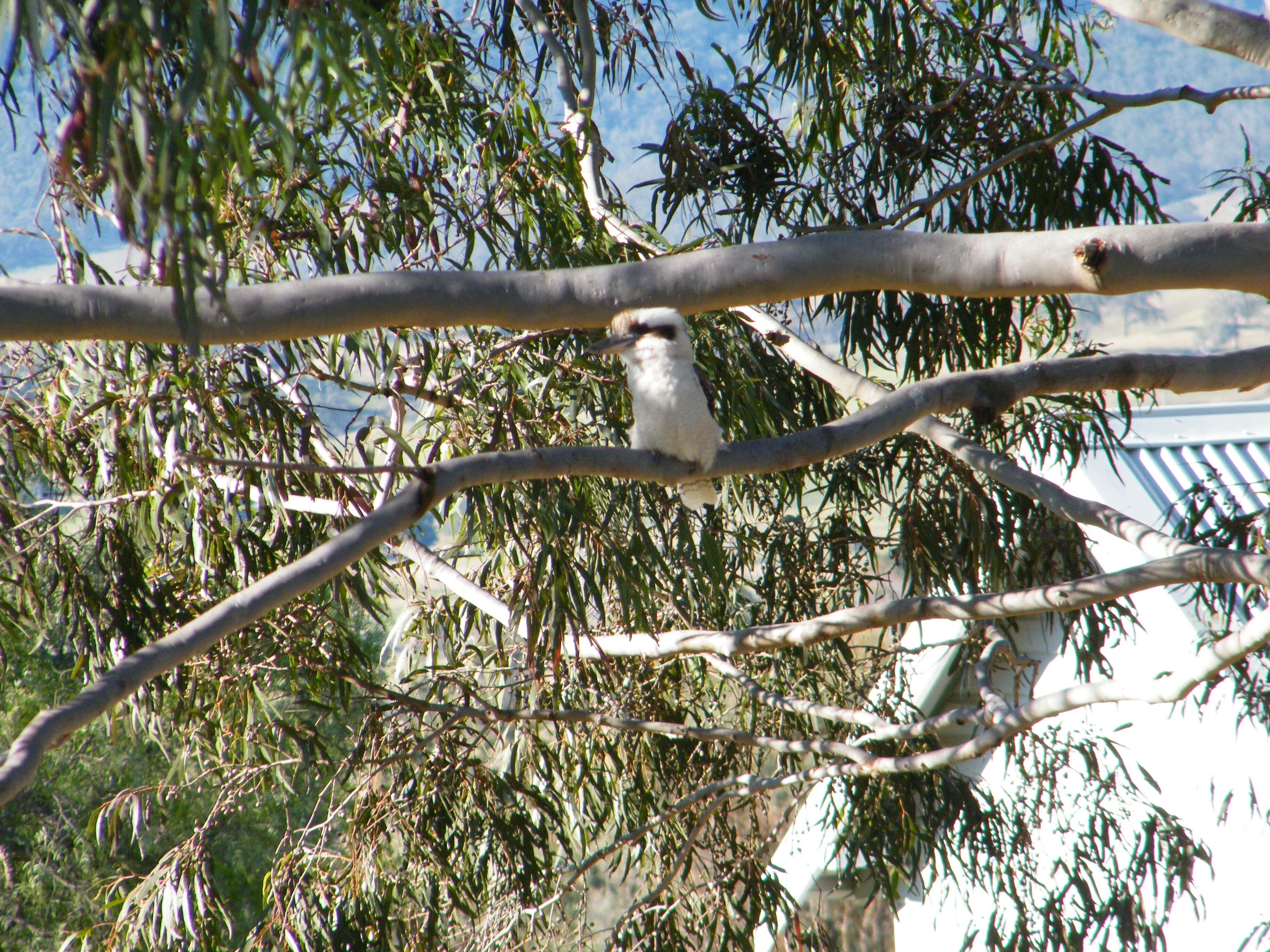 St Peter's at Fairview — image 11