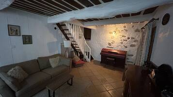 TV, DVD player, books, video library