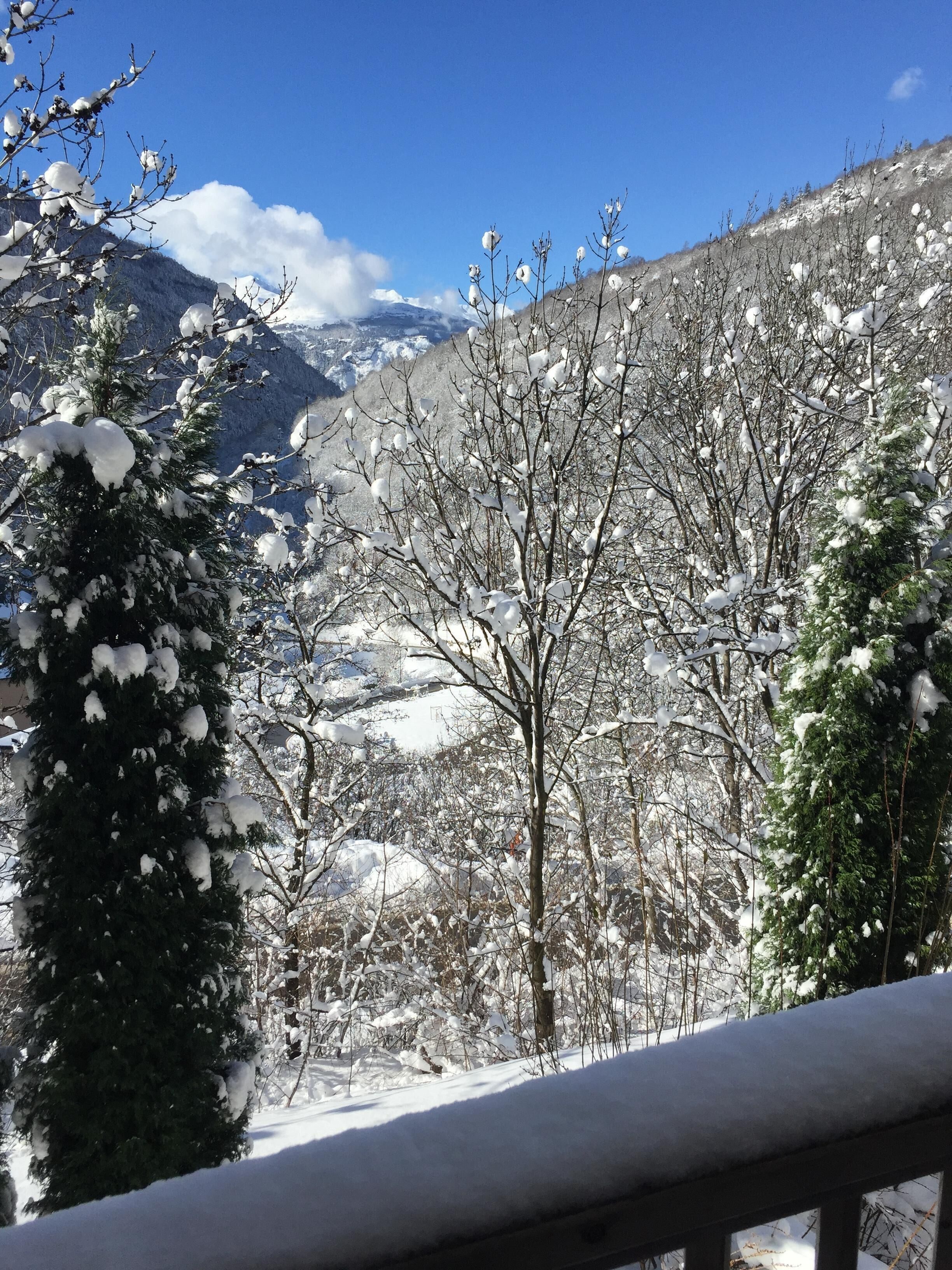 A snowy mountain landscape with trees and a clear sky.