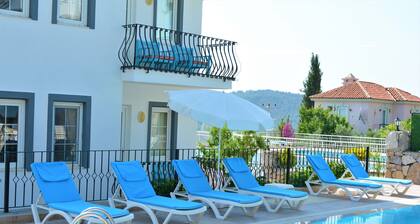 Villa with large private pool, Bar and Gardens. Sleeps up to 14 adults .