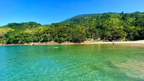 Una vista despejada de una playa con una ladera boscosa al fondo.