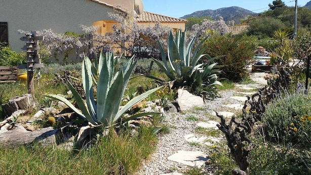 Un giardino con piante di agave, un vialetto e una casa con tetto in tegole.