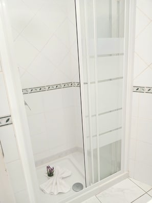 Shower, hair dryer, towels, toilet paper