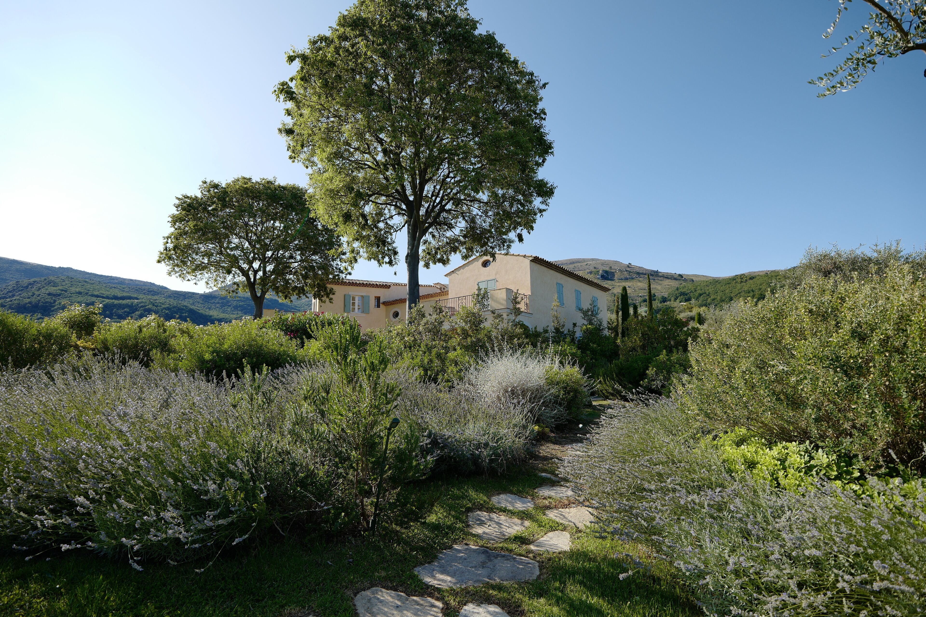 A house surrounded by lush greenery and a stone pathway.