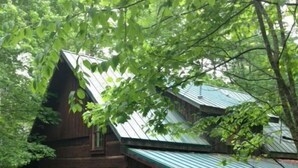 Eine rustikale Holzhütte mit Metallbedachung, umgeben von dichtem Grün.