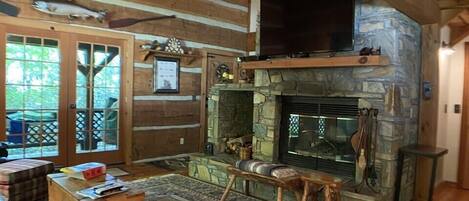 Televisión, chimenea y reproductor de DVD