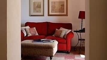 Smart TV, fireplace, books, video library