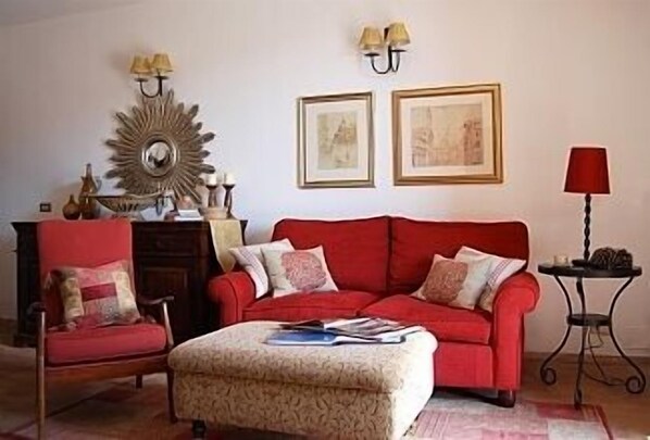 TV connectée, cheminée, livres, vidéothèque