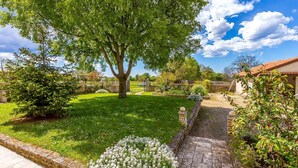 A well-maintained garden with a large tree, stone pathway, and a stone wall. - Apartment with large garden to play football (Gajana)