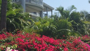 Un jardín con vibrantes flores rosas y blancas, palmeras y un edificio con balcón al fondo.