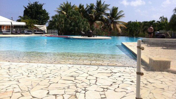 Una piscina con agua cristalina azul, rodeada de palmeras y un solárium con baldosas.