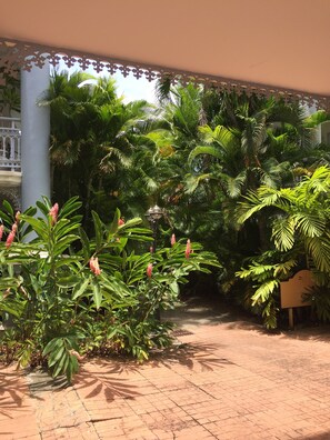 Property grounds - Dream apartment cradled by the trade winds (Saint-François)