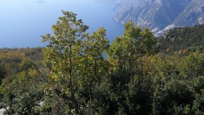 Un paisaje montañoso con bosque denso y vista al mar.