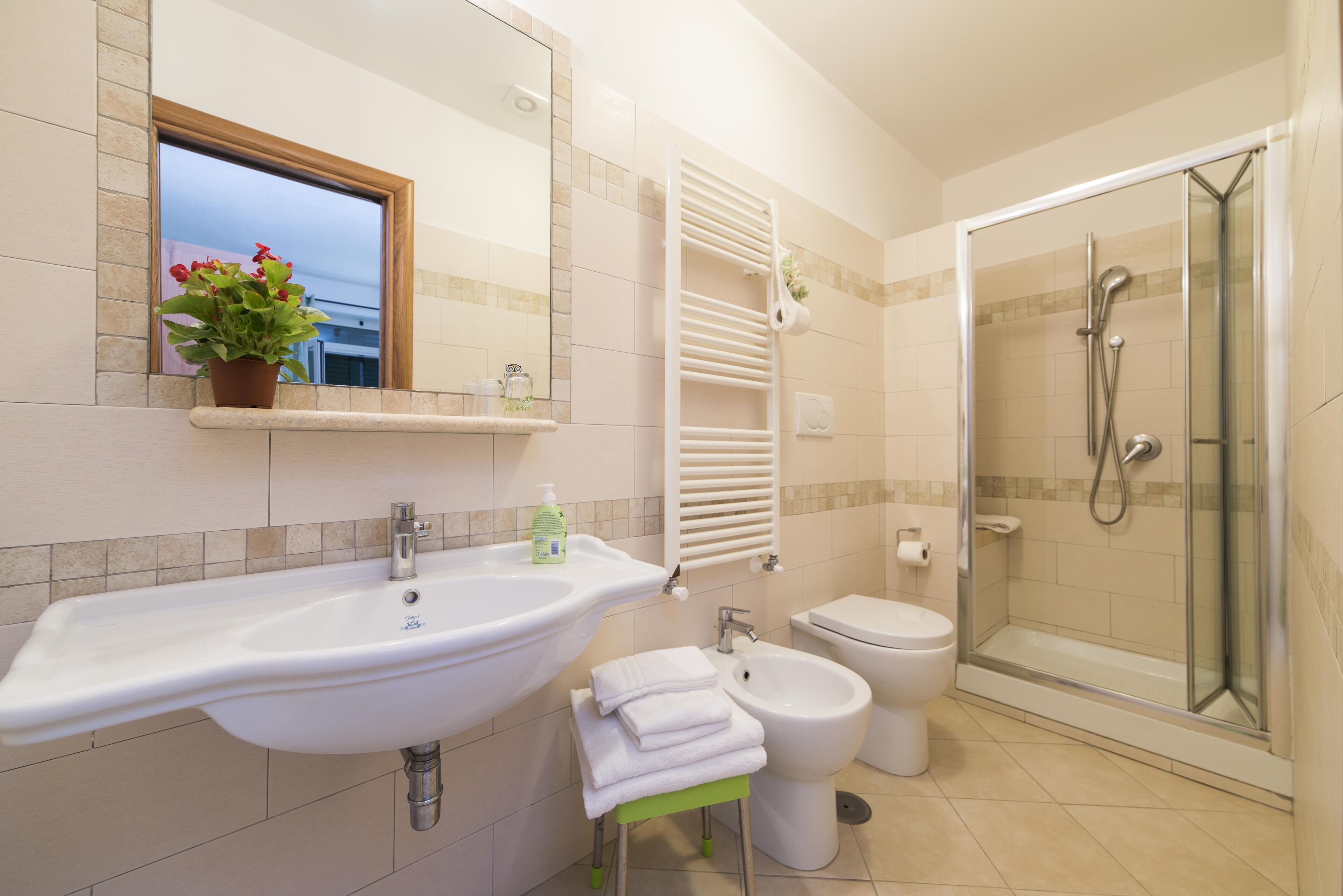 Shower, hair dryer, bidet, towels