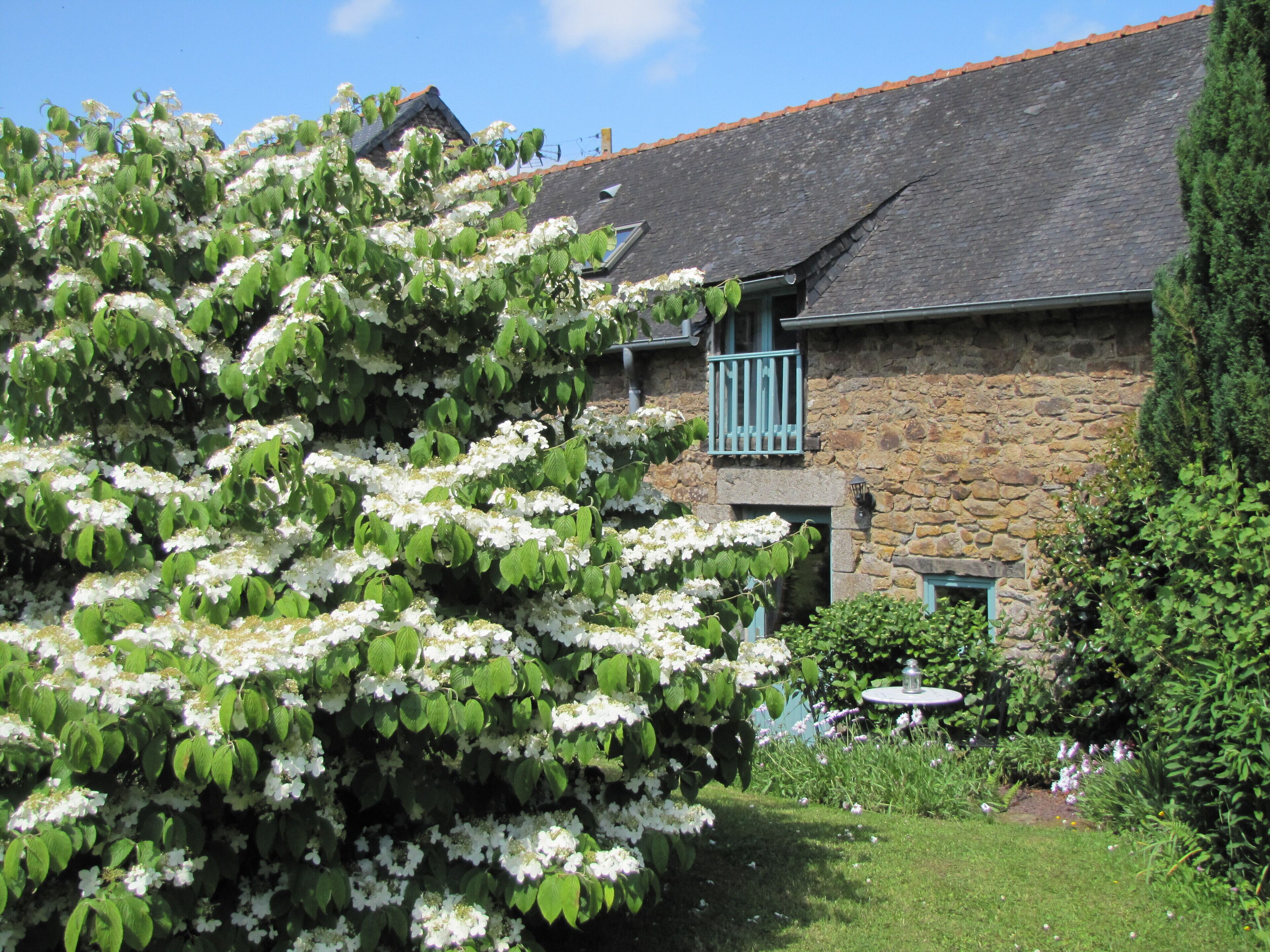 Quality Traditional Gite for 2 in Gomene central Brittany - HEATED pool & WIFI 