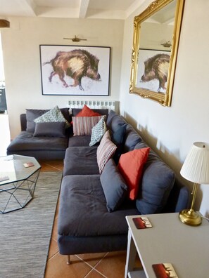 Téléviseur, lecteur de DVD, livres, sélection de films