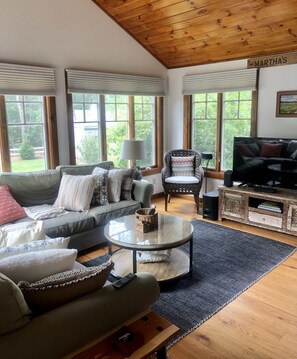 Smart TV, caminetto, tavolo da calcetto, impianto stereo