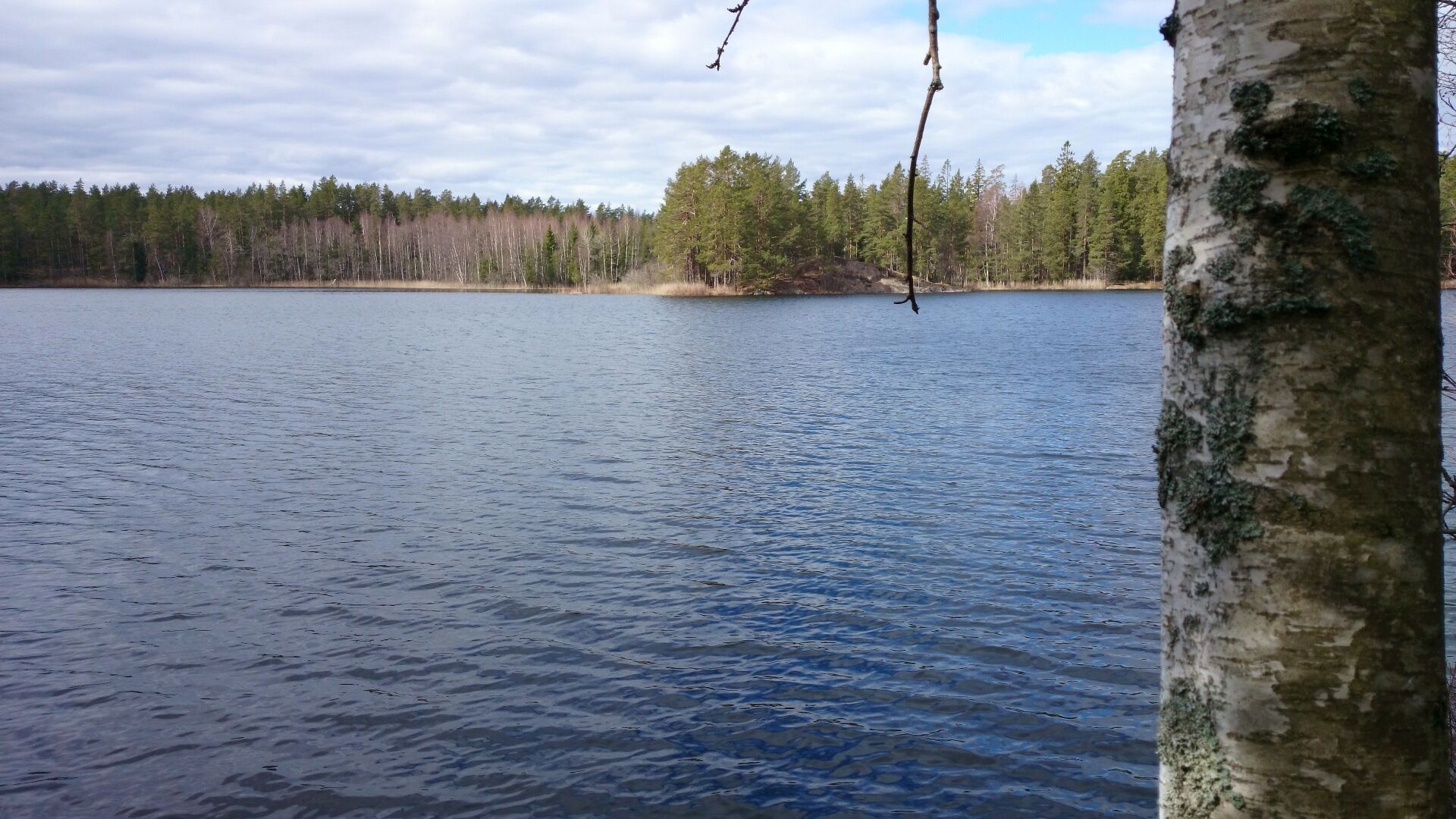 Långsjön
