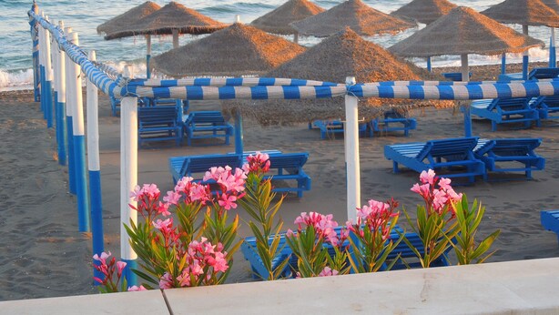 A beach with blue lounge chairs and thatched umbrellas, a sandy shore, and pink flowers in the foreground. - Fantastic penthouse of 140m2 (Torrox)
