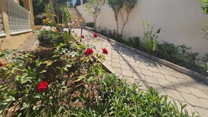 Um jardim com rosas vermelhas e diversas plantas, um caminho pavimentado e um edifício com parede branca e varanda.