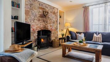 Televisio, takka, DVD-soitin, leluja