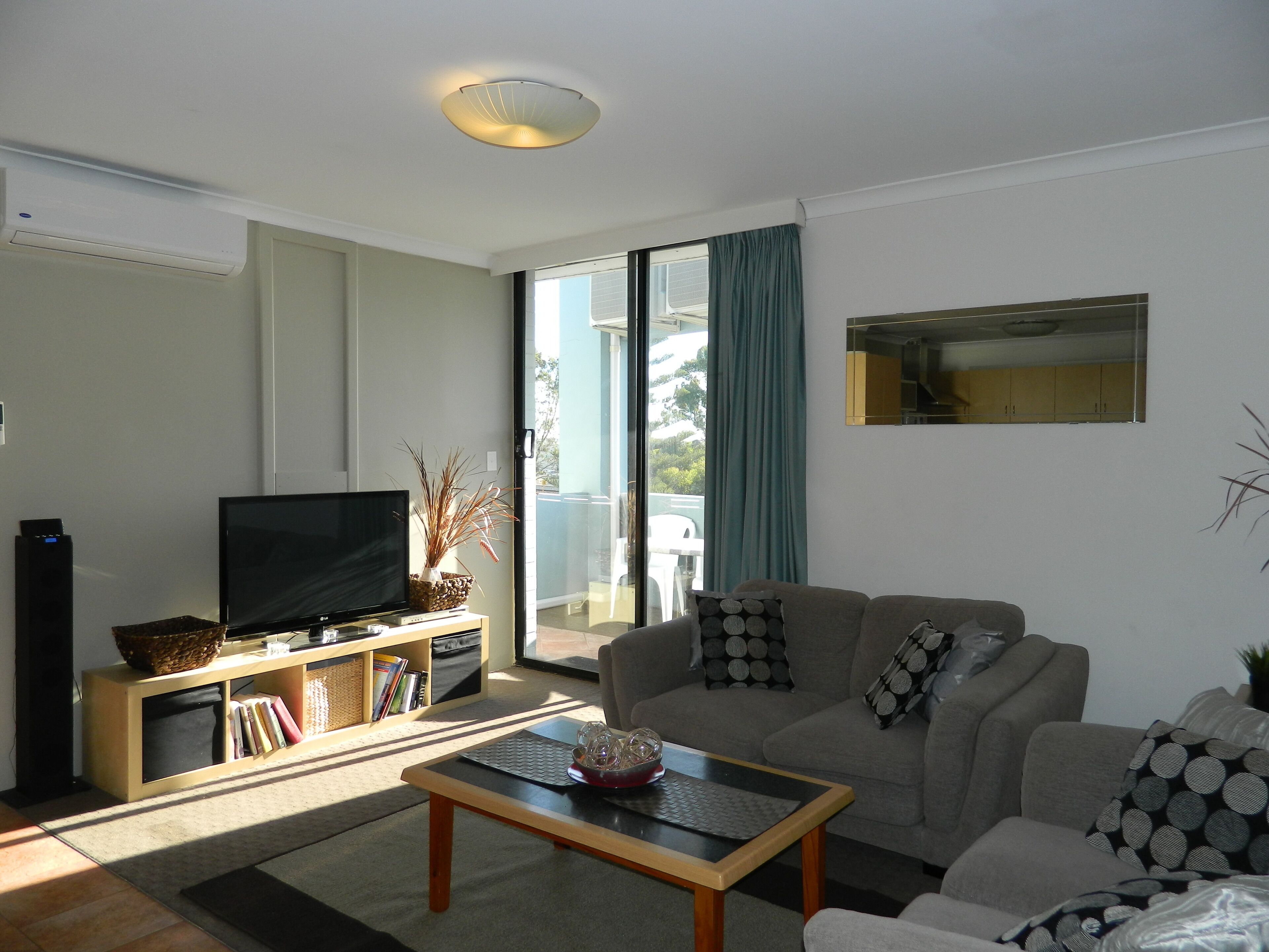 Televisión, reproductor de DVD, libros, videoteca