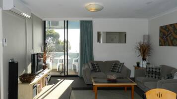 TV, DVD player, books, video library