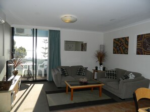 Televisión, reproductor de DVD, libros, videoteca