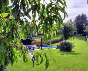 Àrea exterior de l'allotjament