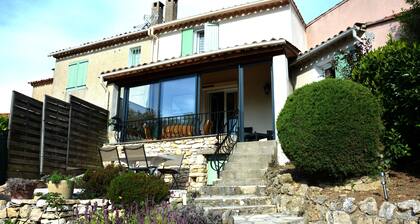 holiday home in the Alpes de Haute Provence in a village character