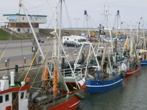 A marina with multiple fishing boats docked. - Comfortable vacation home / close to the beach / quiet location - directly behind the dike (Dornumersiel)
