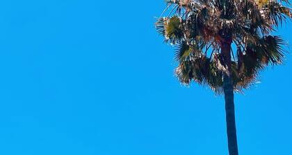 Moderni puutarha - Asunto upea merinäköala! ilman lisäkustannuksia