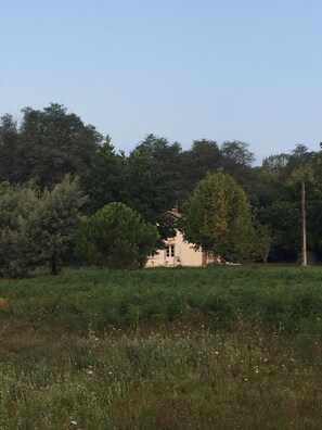 A single-story building with a flat roof, surrounded by dense greenery and trees. - Quiet house in Soustons (Landes 40) near the ocean - Landes Surf Golf (Soustons)
